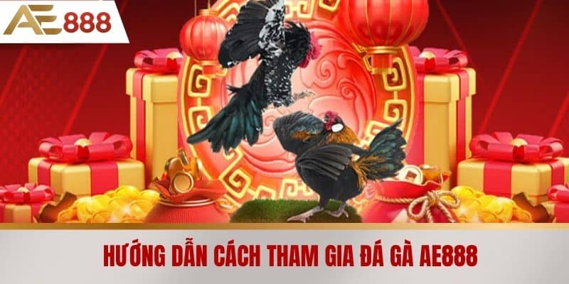 Hướng dẫn cách tham gia Đá gà AE888