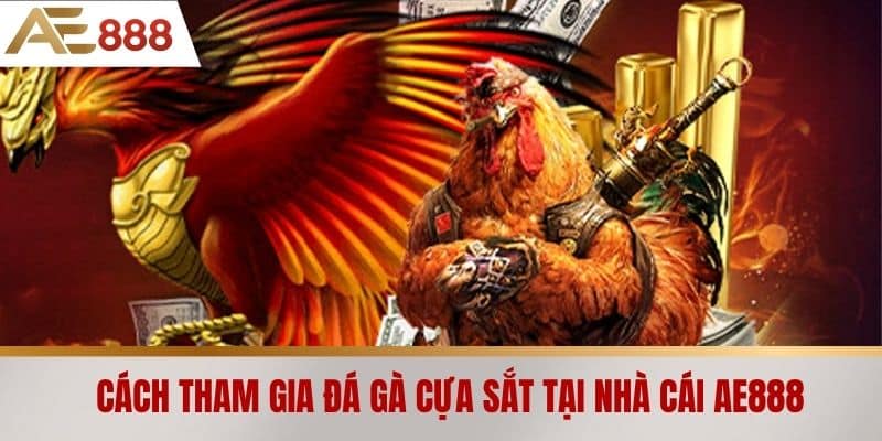 Cách tham gia đá gà cựa sắt tại nhà cái AE888
