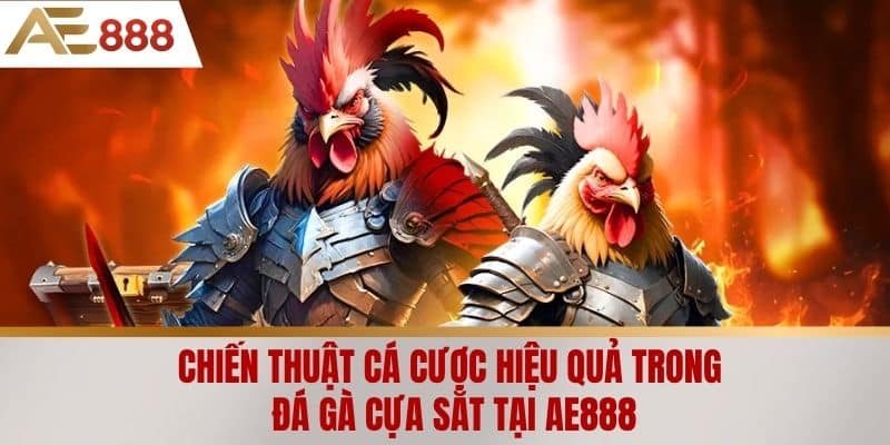Chiến thuật cá cược hiệu quả trong đá gà cựa sắt tại AE888