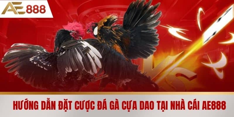Hướng dẫn đặt cược đá gà cựa dao tại nhà cái AE888