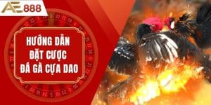 Chiến Thuật Hiệu Quả: Hướng dẫn đặt cược đá gà cựa dao