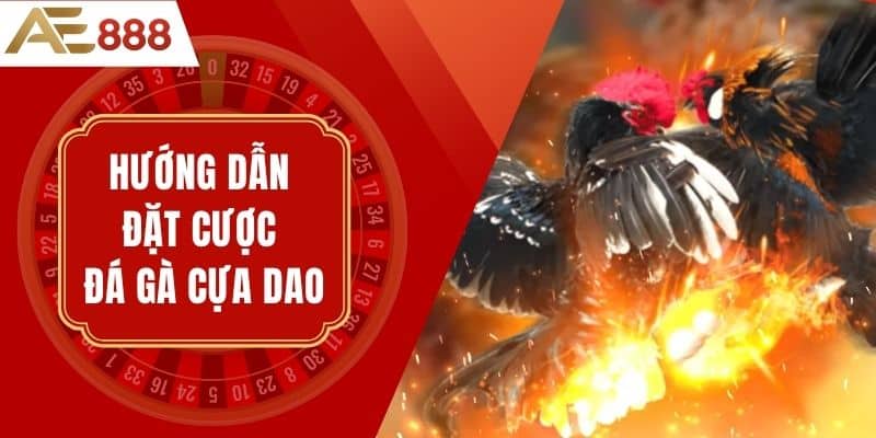 Chiến Thuật Hiệu Quả: Hướng dẫn đặt cược đá gà cựa dao