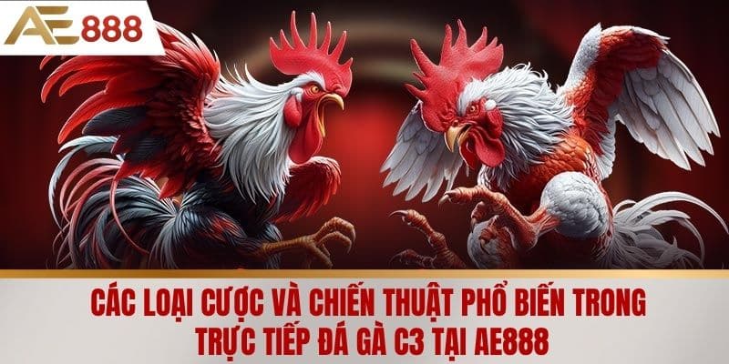 Các loại cược và chiến thuật phổ biến trong trực tiếp đá gà C3 tại AE888