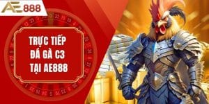 Trực Tiếp Đá Gà C3 Tại AE888 – Kết Quả Nhanh, Chuẩn Xác"